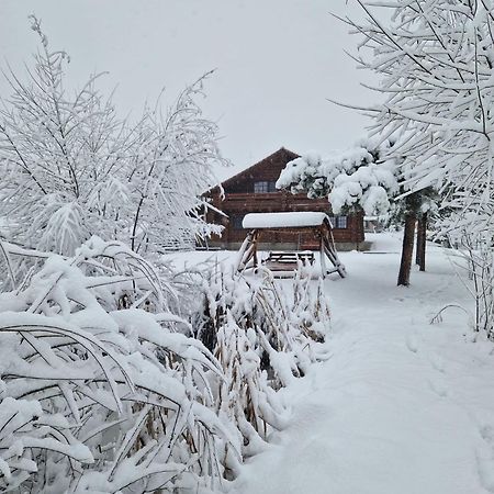 Casa De Munte Villa Vatra Dornei Eksteriør bilde